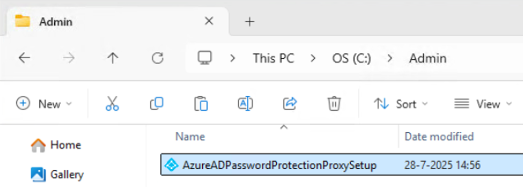 Proxy setup executable in File Explorer